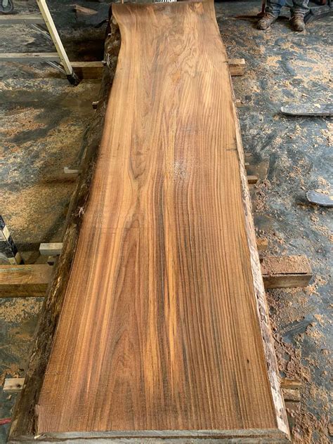 Elm Wood Slabs - Bluestone Organic