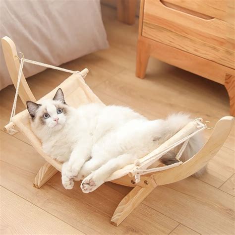Cute Cat Accessories | Cats Lover