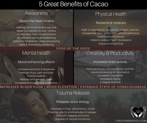 5 Great Benefits Of Cacao | The Divine Magick