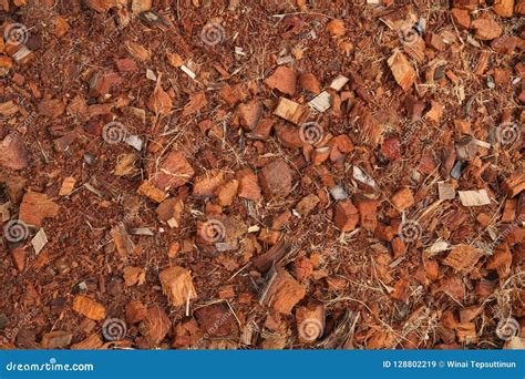 Peat Soil As A Background. Soil Texture Royalty-Free Stock Image ...