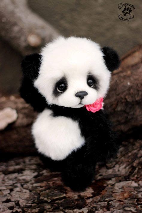 Las mejores 23 ideas de Pandas bebes tiernos | pandas, pandas bebes tiernos, animales adorables