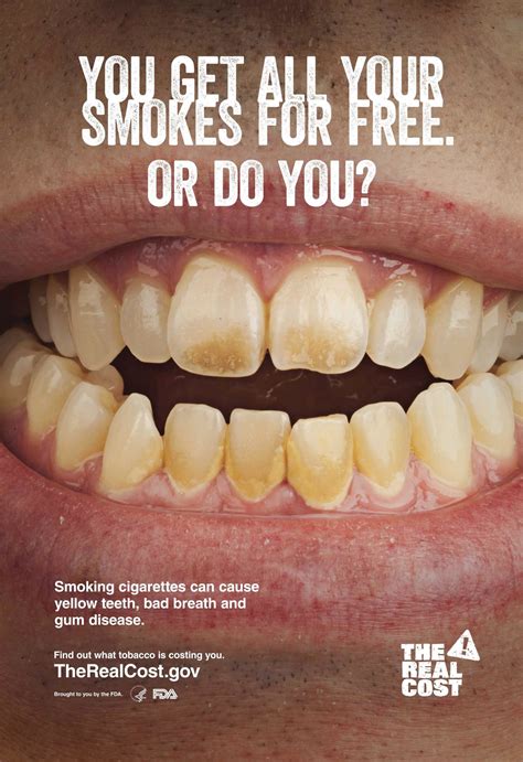 ⭐ For and against smoking. The Global Fight Against Tobacco Has Stalled ...