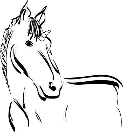 SVG > horse creatures wild magic - Free SVG Image & Icon. | SVG Silh