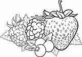 Berries coloring Pages To Download And Print For Free sketch template