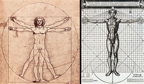 The Significance Of Leonard Da Vinci S Famous Vitruvi - vrogue.co