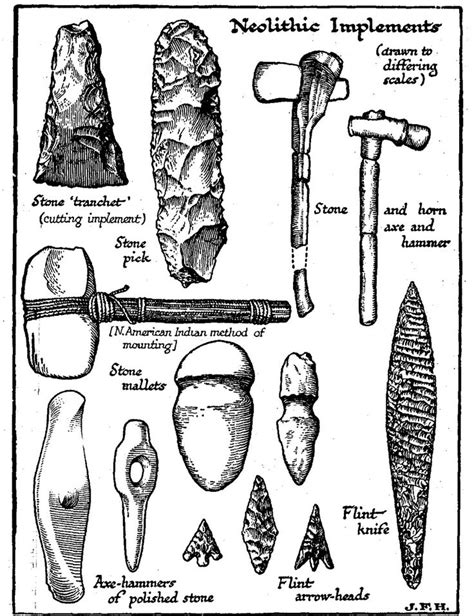 The New Stone Age | Stone age art, Stone age tools, Early humans tools