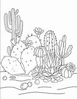 20 Page Cactus Coloring Book  Etsy sketch template