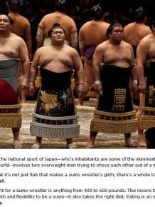 The Daily Diet Of A Sumo Wrestler | Others