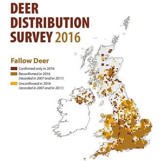 Deer Species - The British Deer Society