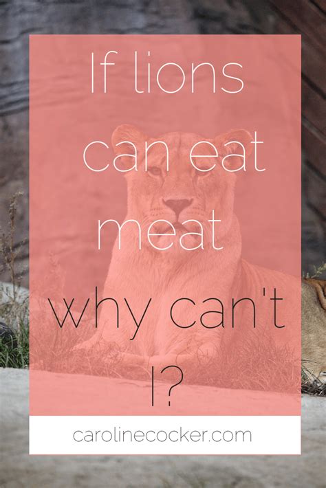 HOW DO VEGANS FEEL ABOUT ANIMALS EATING ANIMALS? | Animal eating, Vegan quotes, Lion hunting