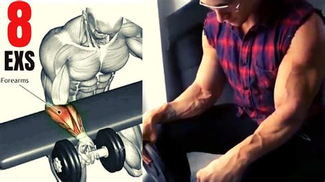 8 Best forearm workout with dumbbells - YouTube