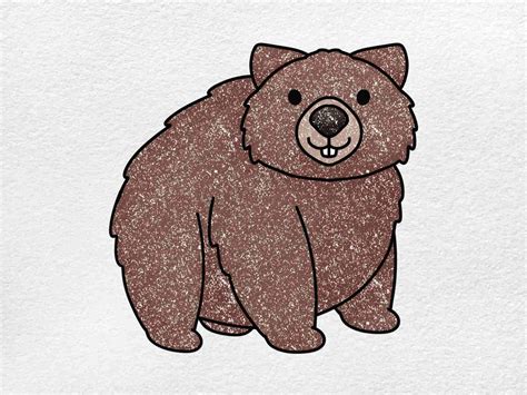 How to Draw a Wombat - HelloArtsy