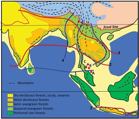 Vegetation map of South and South-East Asia, simplified from Ashton ...