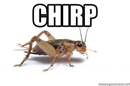 Crickets Memes