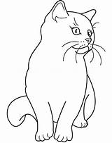 Coloring Pages Of Cats And Kittens  Home sketch template