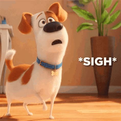the secret life of pets is shown in this image