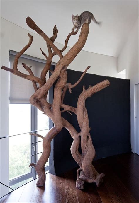 25 Indoor Cat Tree Ideas For Play And Relax | HomeMydesign