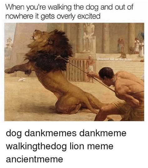 lion meme about walking the dog and it gets excited | Lion memes, Fun facts about animals ...