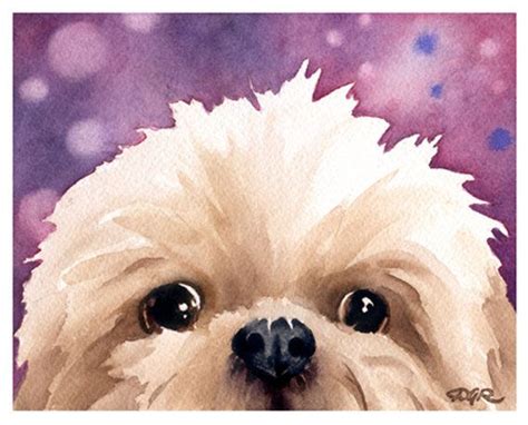 SHIH TZU Art Print by Watercolor Artist DJ Rogers | Watercolor artist, Shih tzu, Dogs