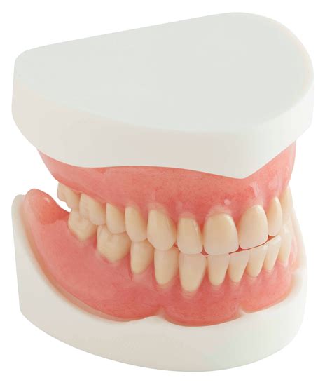 Full Acrylic Dentures | Southern Cross Dental