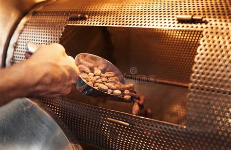 Worker Roasting Cocoa Beans While Working In A Chocolate Factory Stock Image - Image of nibs ...