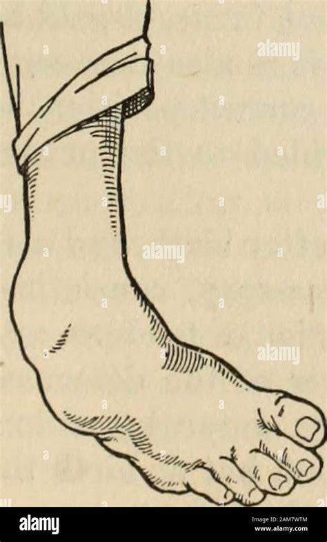 Health knowledge : a thorough and concise knowledge of the prevention, causes, and treatments of ...