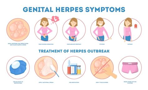 Genital herpes symptoms. infectious dermatology disease. blister on skin as symptom of virus ...