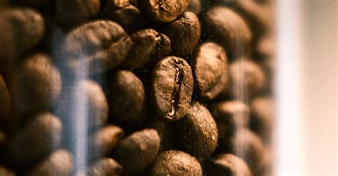 Coffee Beans in Close-Up Photography · Free Stock Photo