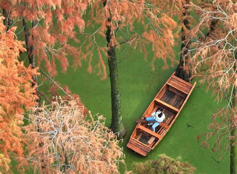 Tourists row boats inside a "floating forest" at Luyang Lake Wetland Park in Yangzhou, east ...