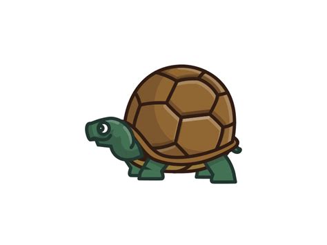 Turtle Animation gif | Cartoon turtle, Walking animation, Animation