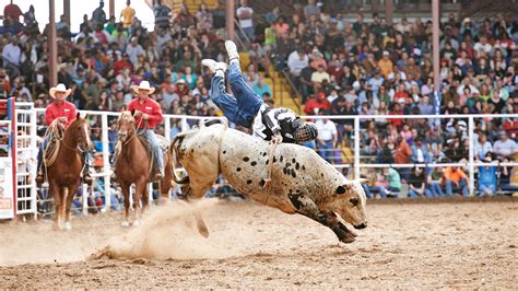 Big Read: Inside Louisiana State Penitentiary's prison rodeo - Sportsnet.ca