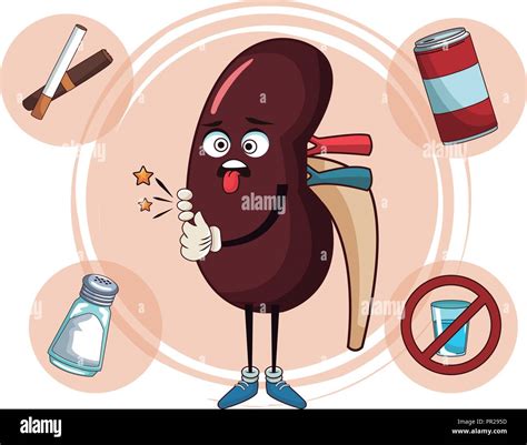 Kidney funny cartoon Stock Vector Image & Art - Alamy