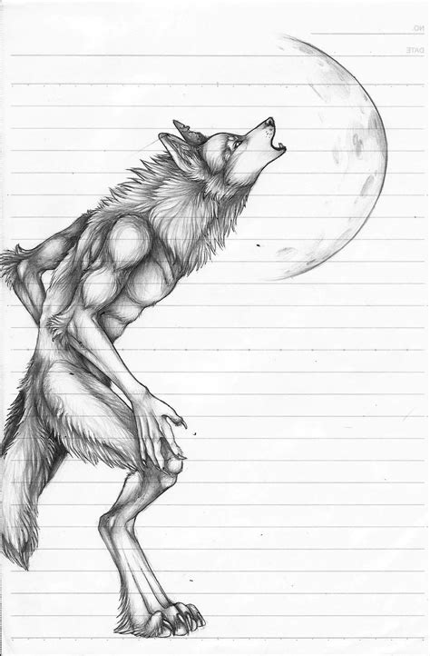 Anastasia Shmidt - Werewolf sketches