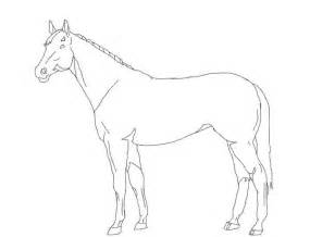 Free Horse Outline, Download Free Horse Outline png images, Free ...