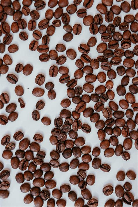 Brown Coffee Beans on White Ceramic Plate · Free Stock Photo