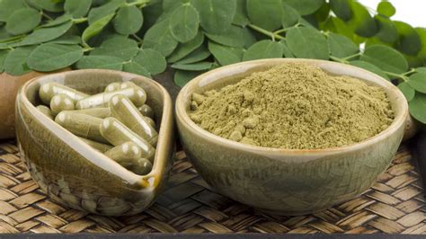 6 Science-Based Health Benefits of Moringa oleifera