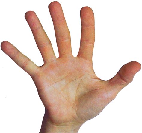 Palmistry for Astrologers - Mark Seltman's Real Palmistry BlogMark ...