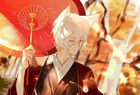 Tomoe Kamisama Wallpaper