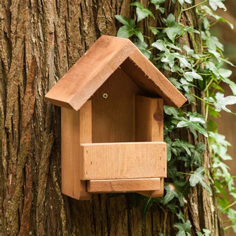 Apex Robin Box | The Nestbox Company