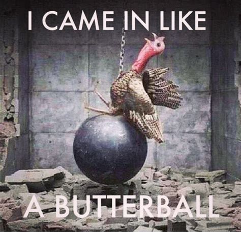 Gobble gobble! | Funny thanksgiving memes, Thanksgiving memes, Thanksgiving meme