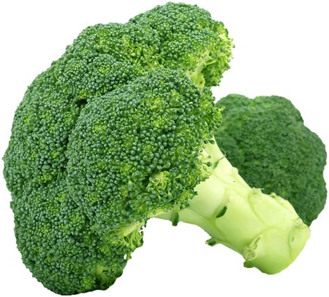 Free photo: Broccoli, Vegetables, Healthy, Food - Free Image on Pixabay - 1450274
