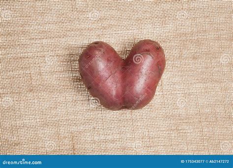 Photo Of An Ugly Heart-shaped Potato Stock Image | CartoonDealer.com #175343077