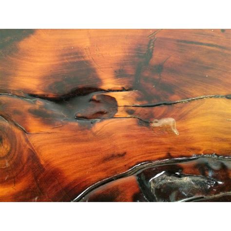 Rustic Mid-Century Tree Slab Coffee Table - AptDeco