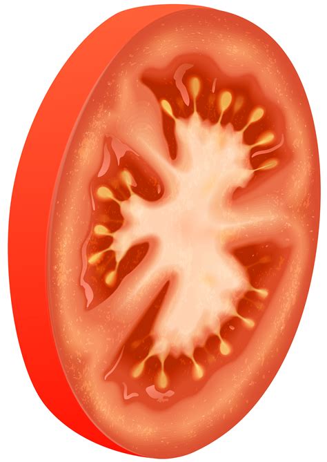 Tomatoes Clipart Cute Tomatoes Cute Transparent Free - vrogue.co