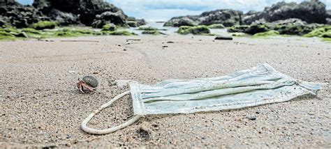Face masks begin to litter Eastern Cape beaches