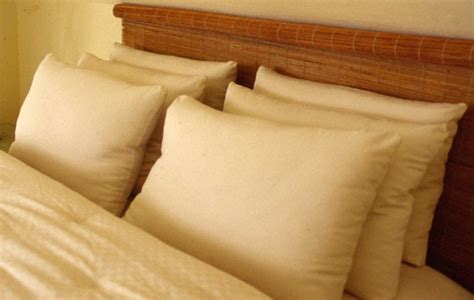 healthcheck: THE SECRETS YOUR PILLOW HAS BEEN HIDING