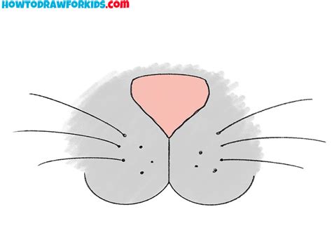 How to Draw a Cat Nose and Whiskers - Easy Drawing Tutorial For Kids