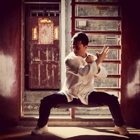 Donnie Yen | Martial arts film, Martial arts, Martial arts techniques