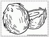 COCONUT COLORING PAGE  Coloring Home sketch template