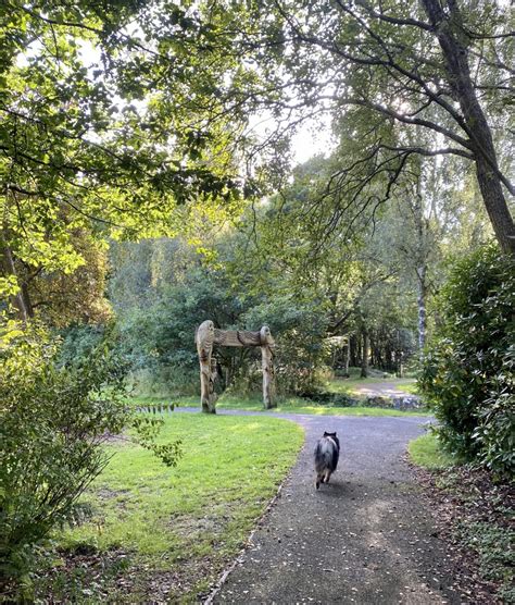 Dog walk at Plean Country Park · Stirlingshire · Walkiees